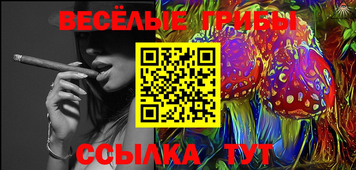 Псилоцибиновые грибы GOLDEN TEACHER  Вход с VPN  Лесной 